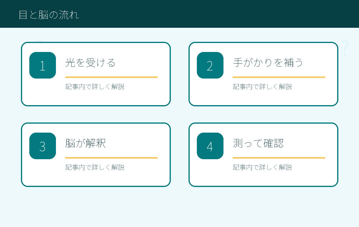 錯覚は「脳の失敗」ではなく「脳の近道」